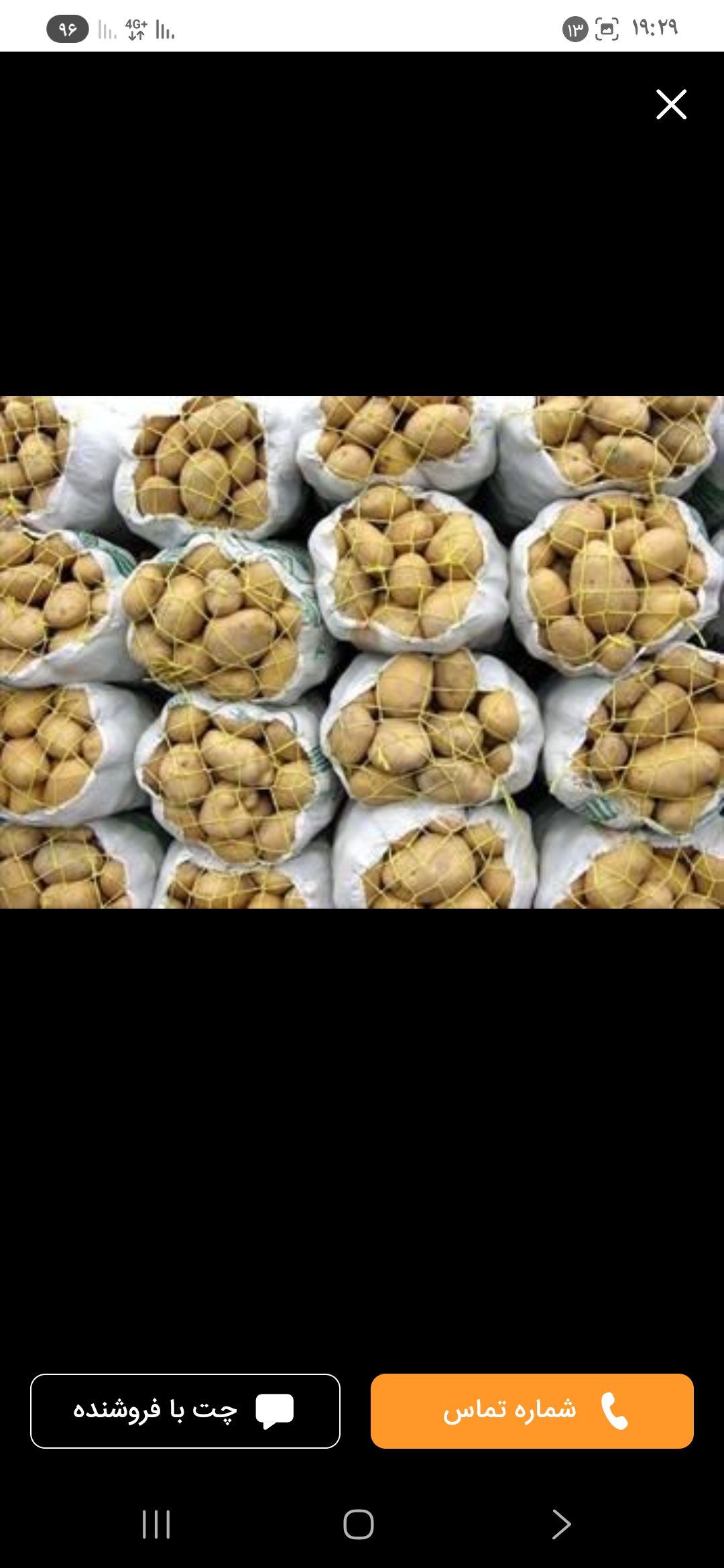 سیب زمینی سورت شده مخصوص صادرات